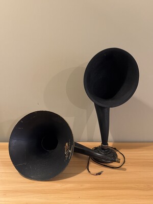 Pair of early 20th