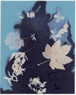 Introduction to Alternative Process Photography photo 1