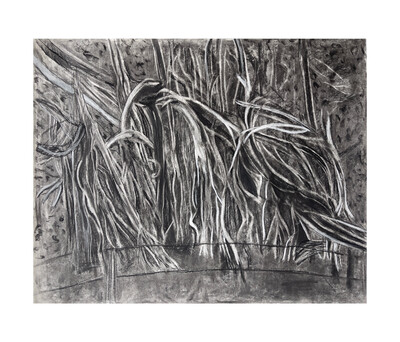 Salon Studio Series: Charcoal Drawing with Garima Tripathi photo 4