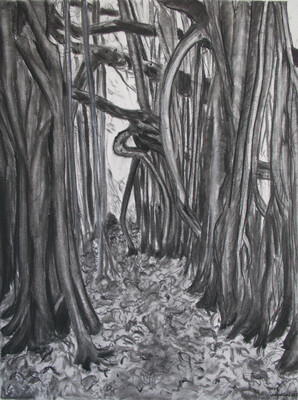 Salon Studio Series: Charcoal Drawing with Garima Tripathi photo 3