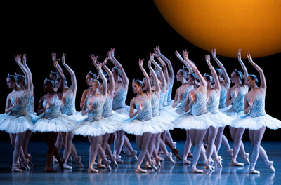 Swan Lake photo 1