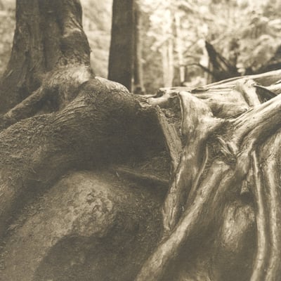 Lith Printing photo 1