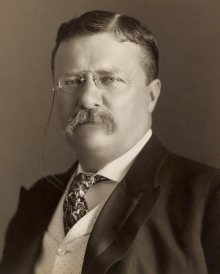 Theodore_Roosevelt_by_the_Pach_Bros_(4x5_cropped)_(2).jpg