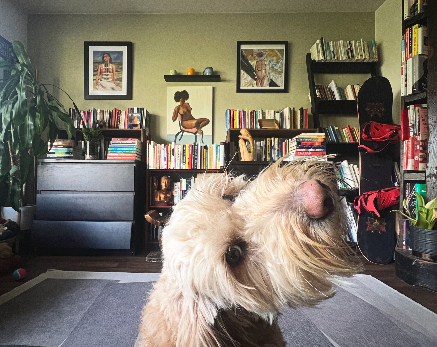 The author's living room wall. PHOTO COURTESY OF JODI-ANN BUREY.