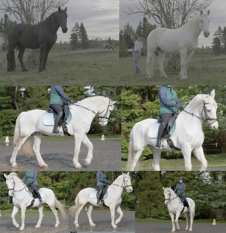 Progress on The First Horseman