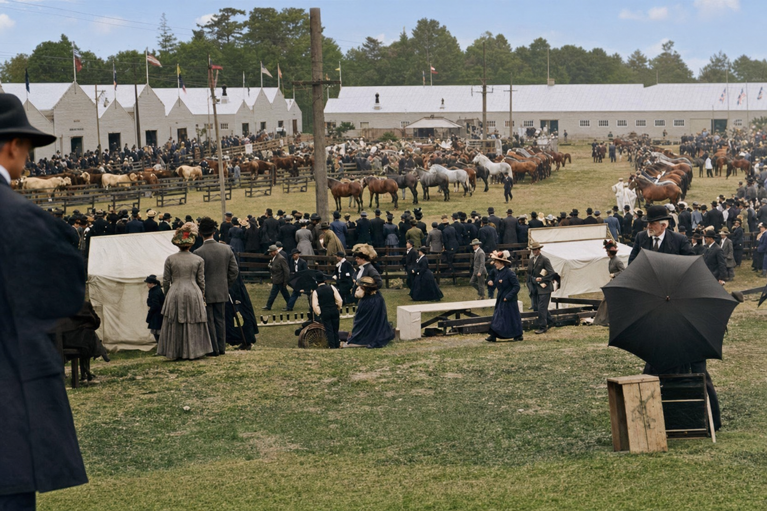 Bird's Eye View of the A.Y.P.E. Stock Exhibit, 1909